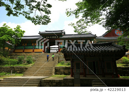 海印寺 慶南 韓国 42229013