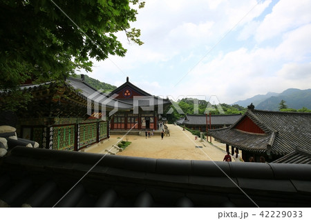 海印寺 慶南 韓国 42229033