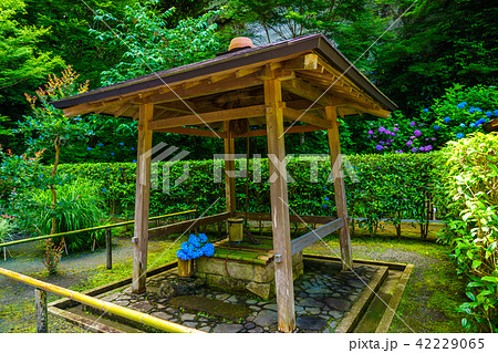(神奈川県)明月院の瓶ノ井(つるべのい) (神奈川県)明月院の瓶ノ井(つるべのい) 42229065
