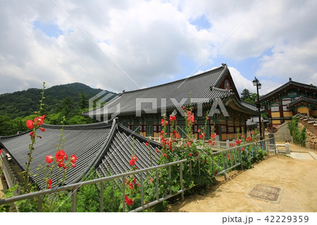 海印寺 慶南 韓国 42229359
