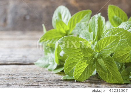Mint fresh with dew drops on wooden background Mint fresh with dew drops on wooden background 42231307