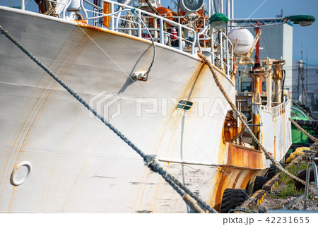 係留中の漁船 係留中の漁船 42231655