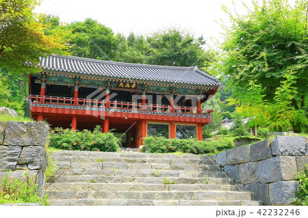蔓延社 全羅南道 韓国 42232246