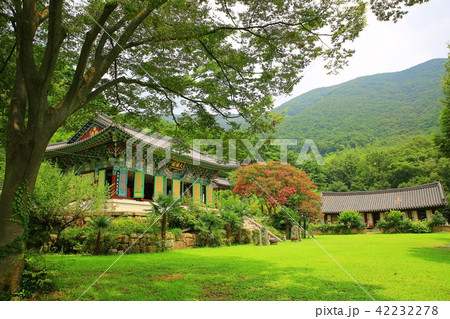 蔓延社 全羅南道 韓国 42232278