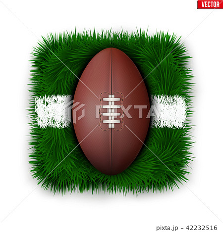 Icon Australian rules football field ball on grass Icon Australian rules football field ball on grass 42232516