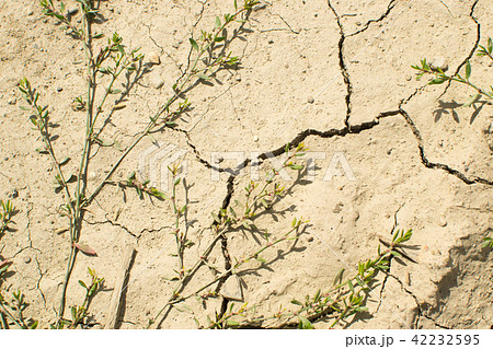 Cracked Dry Earth Top View 42232595