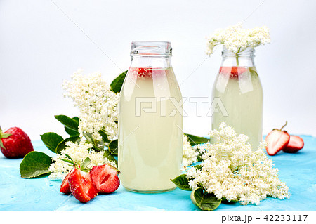 Kombucha tea with elderflower and strawberry Kombucha tea with elderflower and strawberry 42233117
