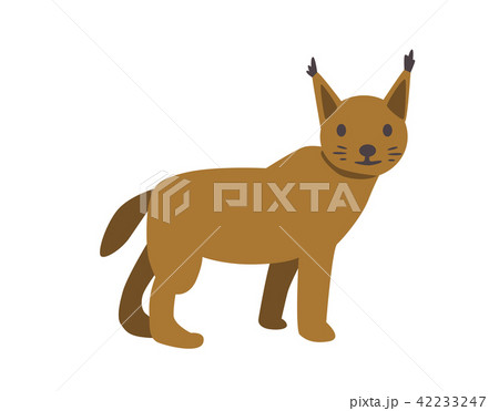 Lynx, bobcat. Flat vector illustration. Isolated on white background. 42233247