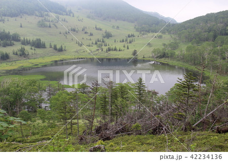 東雲湖 [2018] 42234136