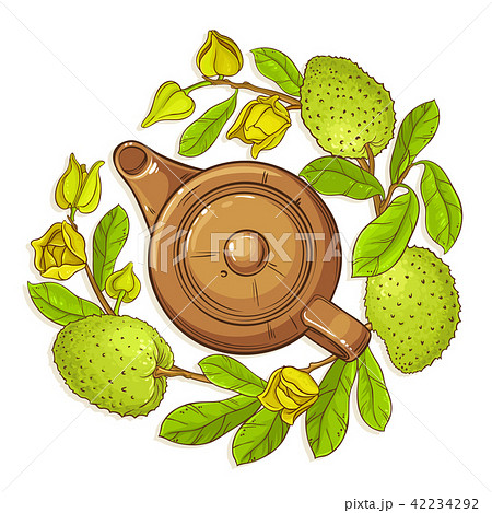 soursop tea illustration 42234292