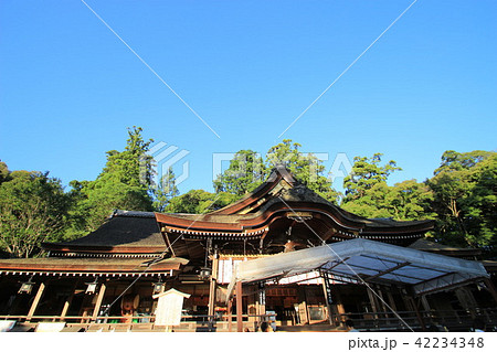 大神神社 42234348