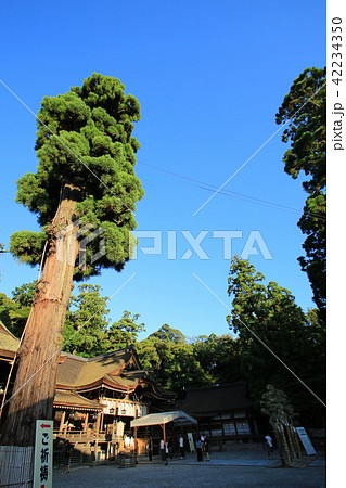 大神神社 42234350