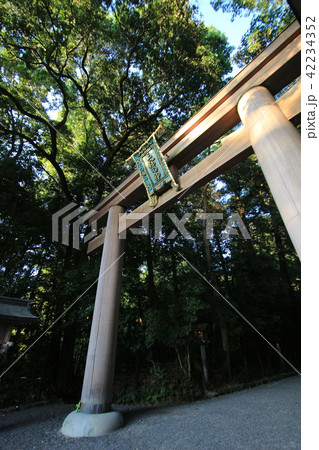 大神神社 42234352