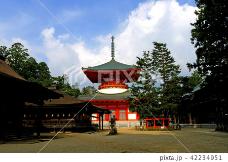 高野山 夏空と根本大塔 高野山 夏空と根本大塔 42234951