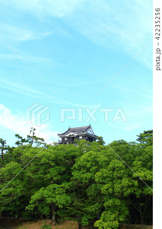 岡崎市 青空と岡崎城 岡崎市 青空と岡崎城 42235256
