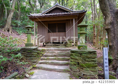 [長崎県]枯松神社 42235905