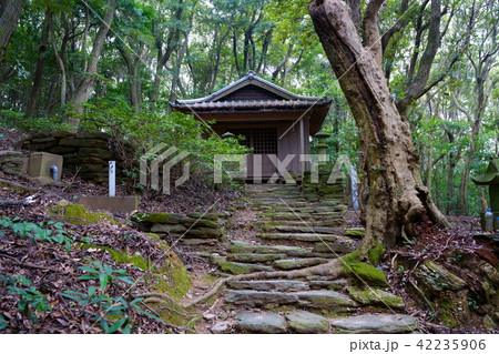 [長崎県]枯松神社 42235906