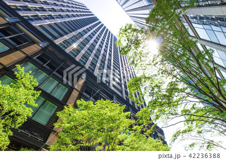 緑のあるオフィス街の風景 緑のあるオフィス街の風景 42236388