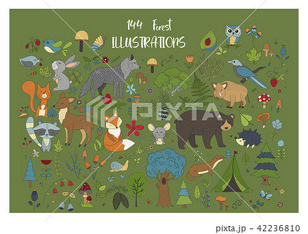 Big set of hand drawn forest illustraitions with color cartoon animals. Big set of hand drawn forest illustraitions with color cartoon animals. 42236810