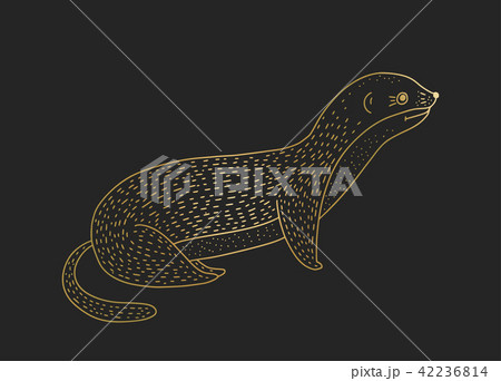 Outline vector golden weasel icon on a black background. 42236814