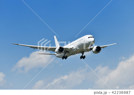 着陸中の旅客機 着陸中の旅客機 42236987