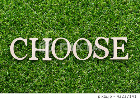 Wood alphabet in word choose on green grass Wood alphabet in word choose on green grass 42237141