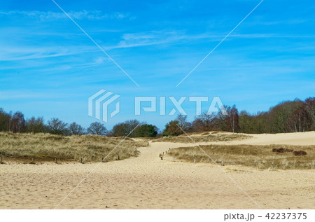 Sandy dunes against blue sky, Hamburg, Germany 42237375