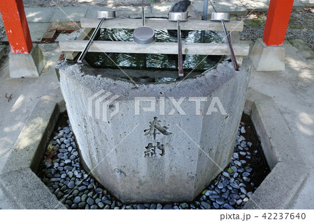 大汝牟遅神社　手水舎 42237640