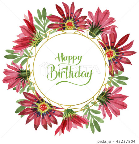 Red gazania flower. Floral botanical flower.Frame border ornament square. 42237804