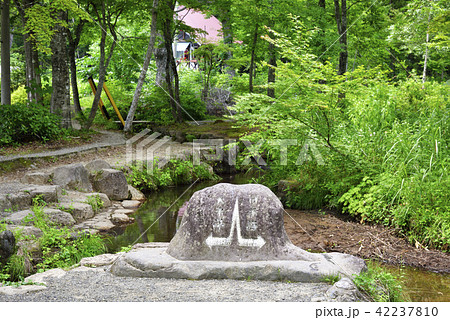 分水嶺公園 ひるがの高原(岐阜県郡上市) 分水嶺公園 ひるがの高原(岐阜県郡上市) 42237810