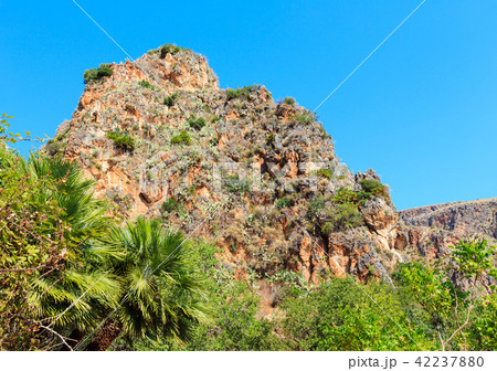 Zingaro coast, Sicily, Italy 42237880