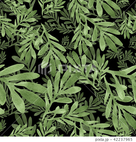Red gazania flower. Floral botanical flower. Seamless background pattern. Red gazania flower. Floral botanical flower. Seamless background pattern. 42237965