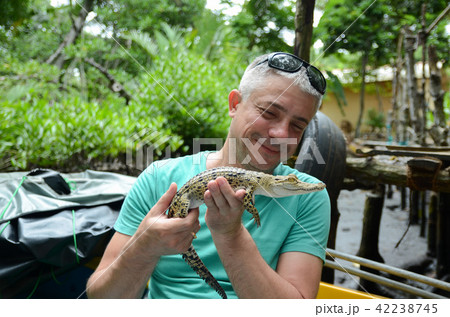 A man holds in hands a small crocodile A man holds in hands a small crocodile 42238745