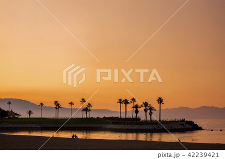 田ノ浦ビーチと別府湾夕景 42239421