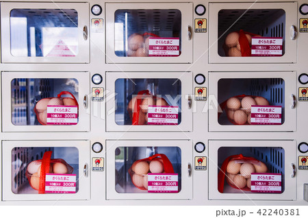 Eggs selling by vending machine at supermarket Eggs selling by vending machine at supermarket 42240381