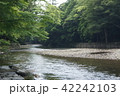 伊勢神宮内宮の五十鈴川 伊勢神宮内宮の五十鈴川 42242103