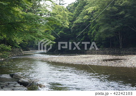 伊勢神宮内宮の五十鈴川 伊勢神宮内宮の五十鈴川 42242103