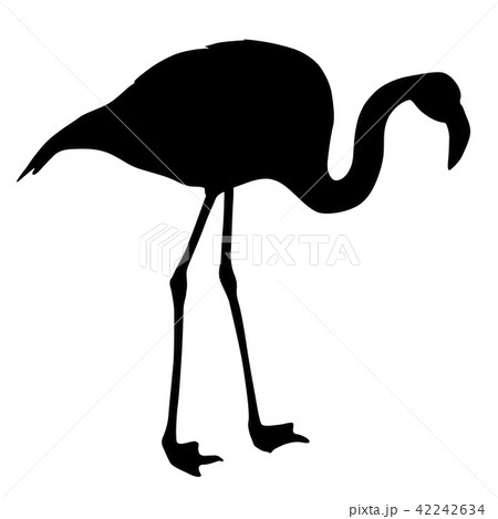 Silhouette Bird Flamingo On A White Backgroundのイラスト素材 42242634 Pixta