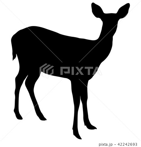 Silhouette of the deer on a white background 42242693