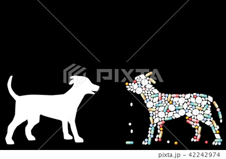 Dog Pills Pharmaceutical Pets 42242974