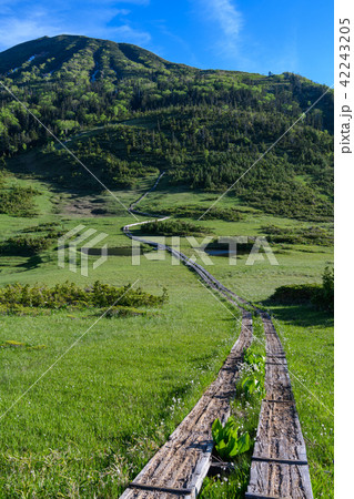 初夏の熊沢田代と燧ヶ岳 初夏の熊沢田代と燧ヶ岳 42243205