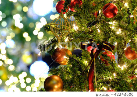 クリスマスイルミネーション 42243600