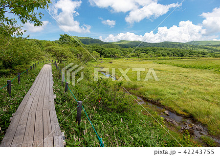 霧ヶ峰湿原 (7月 晴れ 八島ヶ原) 霧ヶ峰湿原 (7月 晴れ 八島ヶ原) 42243755