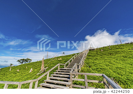 奈良県　大台ケ原　正木ヶ原03 42244250