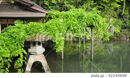 金沢 兼六園 金沢 兼六園 42244699