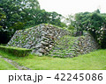 二俣城址 42245086