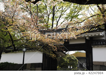 田安門 田安門 42247004
