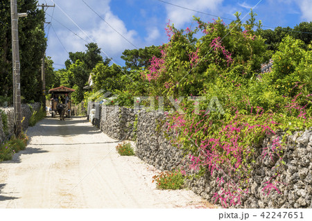 八重山諸島の竹富島 42247651
