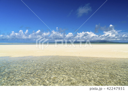 竹富島のコンドイビーチ 42247931