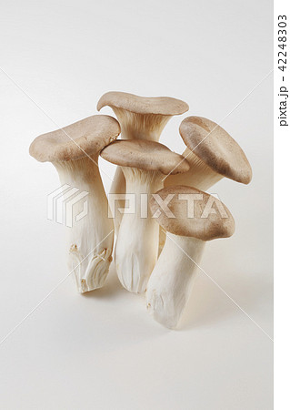 エリンギ エリンギ 42248303